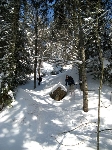 /Ski/2009/Images/1638/Photo 076Icon.jpg